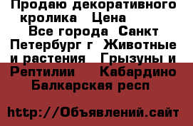 Продаю декоративного кролика › Цена ­ 500 - Все города, Санкт-Петербург г. Животные и растения » Грызуны и Рептилии   . Кабардино-Балкарская респ.